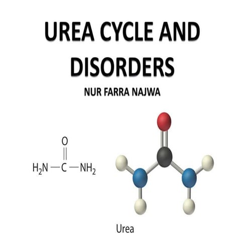 Urea cycle and disorder