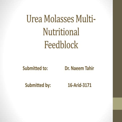 Urea Molasses Mineral Block (UMMB)/Urea Molasses Mineral Block (UMMB) | PDF