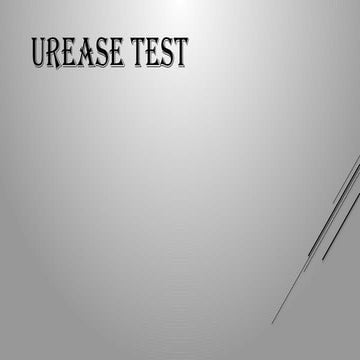Urease test LAB presentation slides.pptx