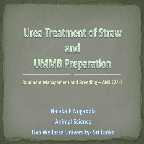 Urea Molasses Mineral Block (UMMB)/Urea Molasses Mineral Block (UMMB) | PDF