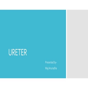 Ureter relevance in pregnancy