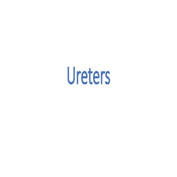 anatomy of ureter, bladder and urethra.pptx