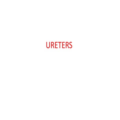 URETERS 2024.pptURETERS 2024URETERS 2024