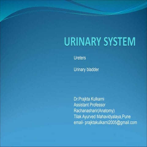 Ureters and bladder