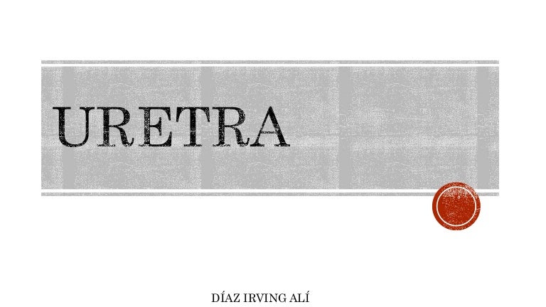 prostata feminină prostata feminină