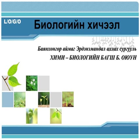 Эрдэнэмандал ахлах сургууль хими - биологийн  багш Б. Оюун