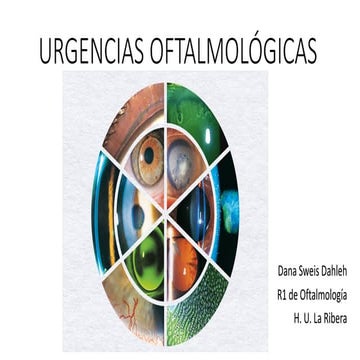 URGENCIAS OFTALMOLÓGICAS (POR DANA SWEIS) | PDF