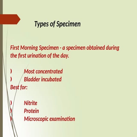 URINA.pptxHJJJJJJJJJJJJJJJJJJJJJJJJJJJJJJJGG