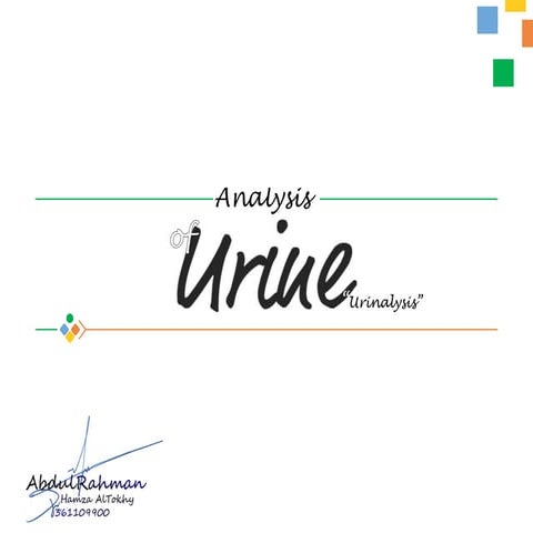 Urinalysis ( analysis of urine )