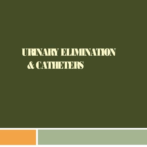 Urinary Elimination & Catheters