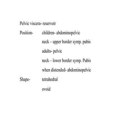 urinary bladder and ureter.pptx anatomy ll