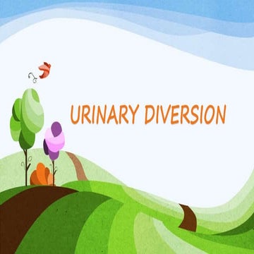 Urinary diversion