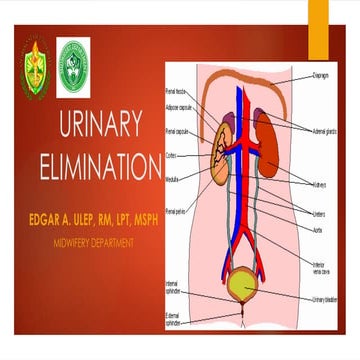 URINARY ELIMINATION in Midwifery Practice.pptx