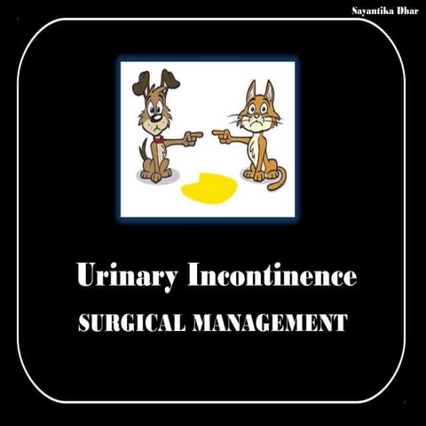 Surgical Management of Urinary Incontinence