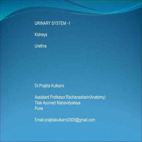 Urinary System lecture | PPT