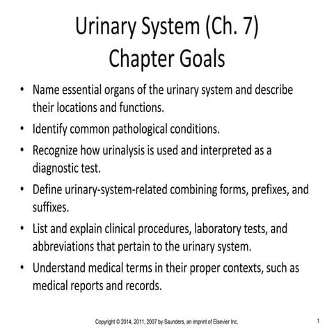 Disorders of urinary system | PPT