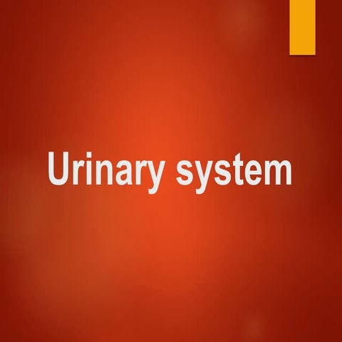 Urinary prensentation