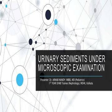 Urinary sediments under microscopic examination