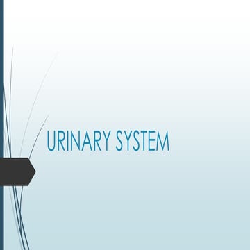 URINARY SYSTEM & Details about urine & it's components