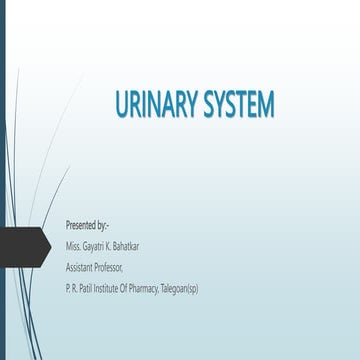 URINARY SYSTEM.pptx
