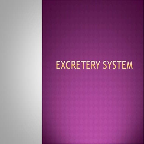 urinary_system_.pptx