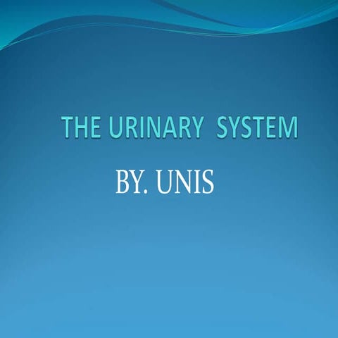 URINARY SYSTEM.ppt555555555555555555555555