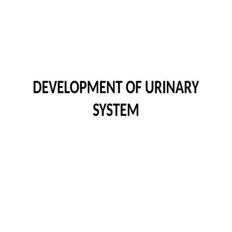 URINARY SYSTEM human body physiology anatomy