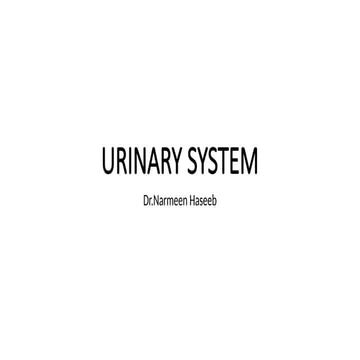 Urinary System☆.pptx5684578899645778998544