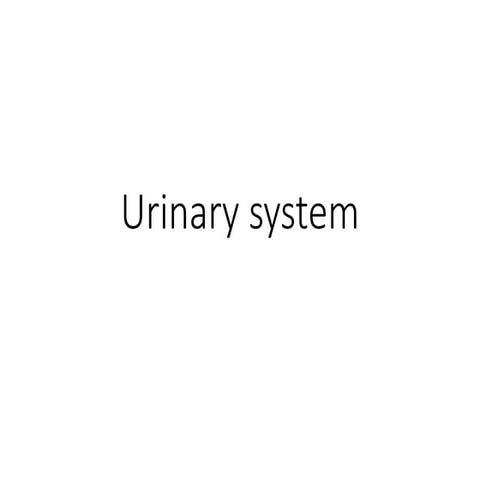 Urinary system -for NURSING copy.pptx