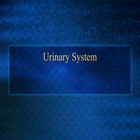 Anatomy and Physiology one. presentarion on UrinarySystem 09.ppt