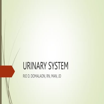 URINARY SYSTEM 16.pptx