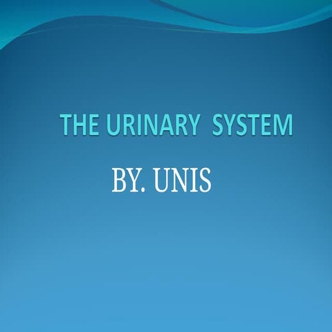 urinary system by Dr Smart.ppt6356372663563