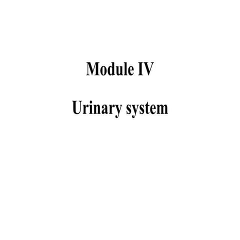 KIDNEY AND URINARY SYSTEM PARTS AND THEIR FUNCTIONS intelligence overview