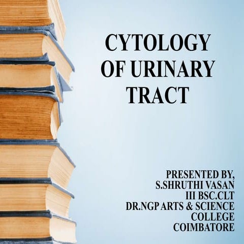 cytology of urinary tract