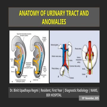 Anatomy of Urinary Tract and Congenital Anomalies – A Radiology Overview