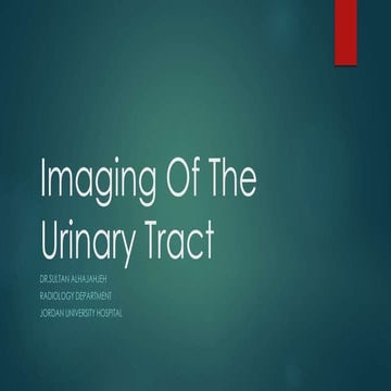 Urinary tract imaging and pathology