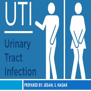 Pathophysiology of Urinary tract infection
