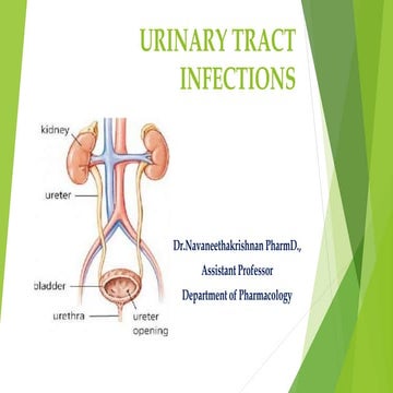 Urinary Tract Infection.pptx