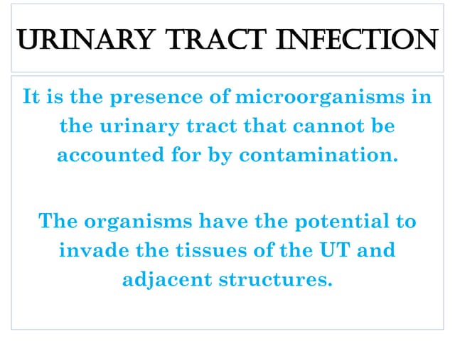 URINARY TRACT INFECTION about the renal system | PPTX