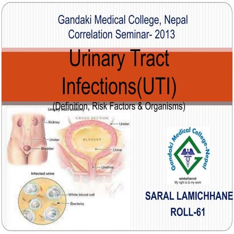Urinary Tract Infections- Saral | PPTX
