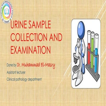UrineUrine sample collection and examination  .pptx