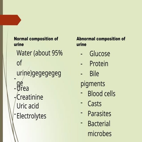 URIne   .pptxFFFFFFFFFFFFFFFFFFFFFFFFFFF