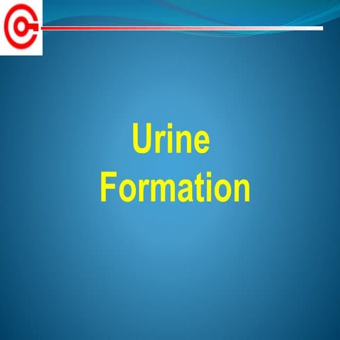 Urine-formation-ppt.pptx A powerpoint on the mechanism of urine production