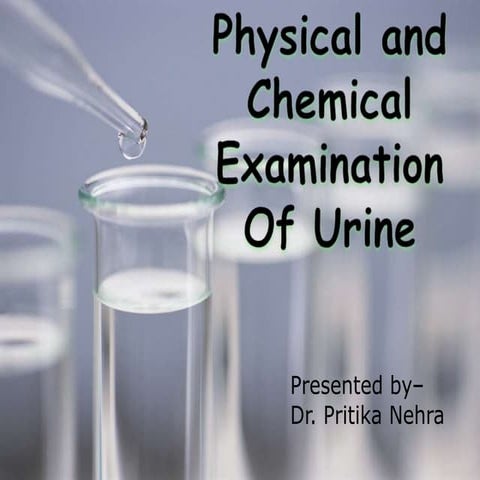 Urine  -Physical and Chemical Examination and Reagent Strips