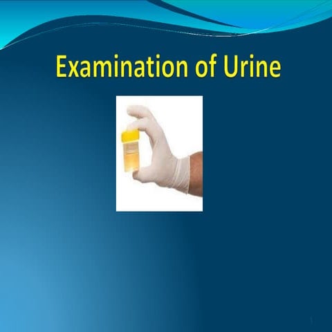 urine 1.pptx RTS455Y5S656XXTYS56SE4EEDT FFHR6