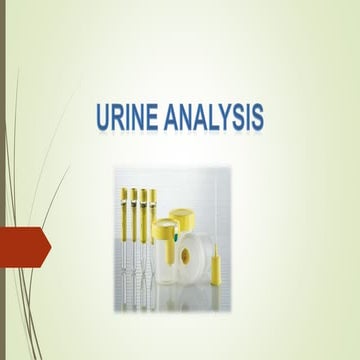 urine analysis.pptx