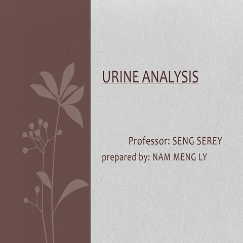 Urine analysis.ppt 