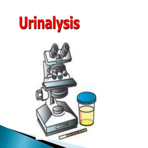 Urine analysis pnnnnpt-MG.pptx