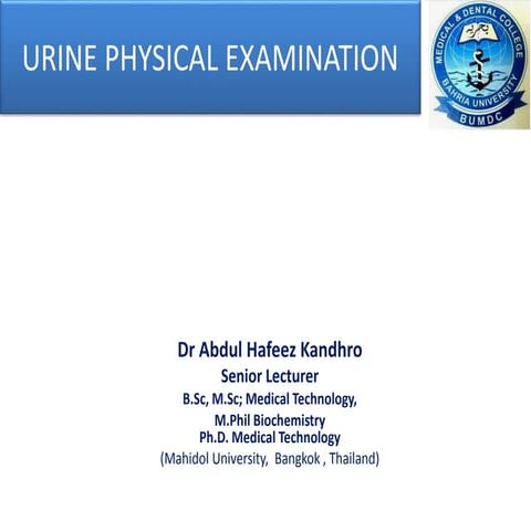 Urine detail examination