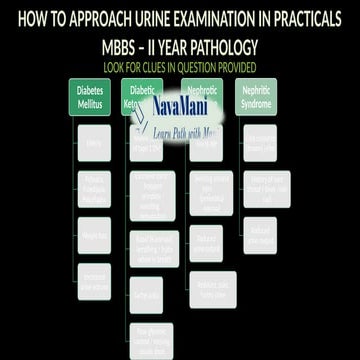 URINE EXAMINATION FOR PRACTICAL EXAM.pptx